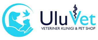 UluVet Veteriner Kliniği